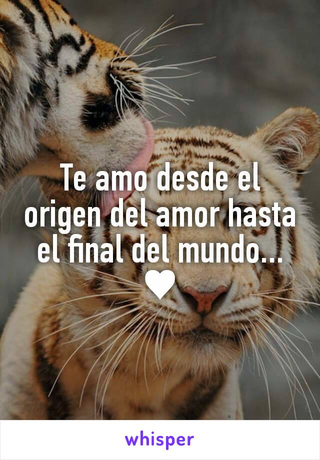 Te amo desde el origen del amor hasta el final del mundo... ♥