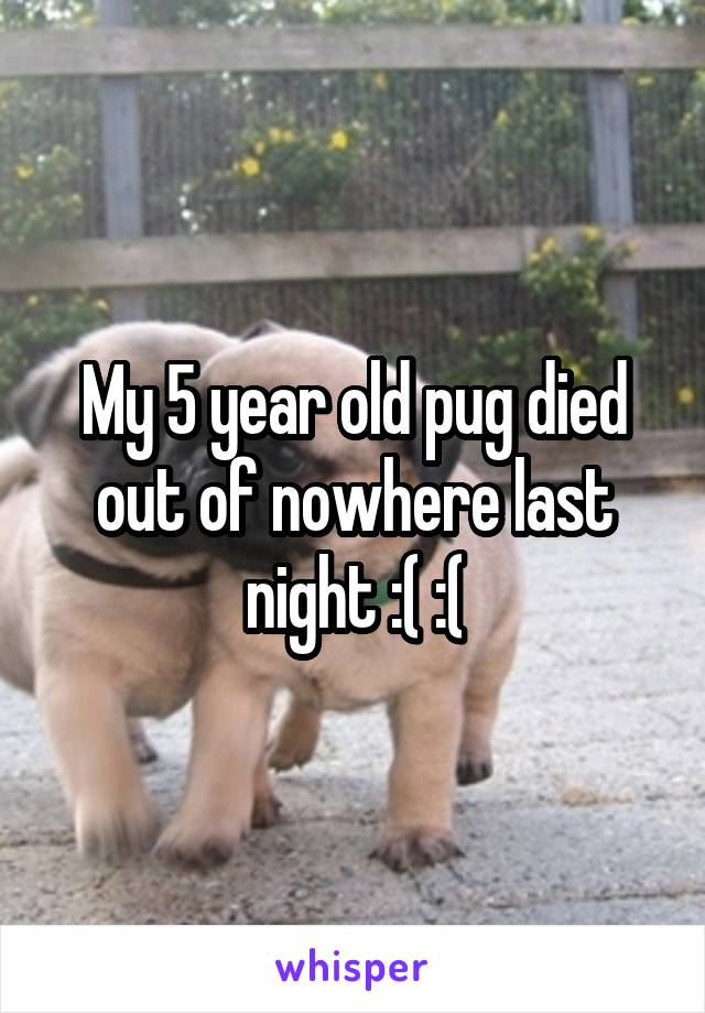 My 5 year old pug died out of nowhere last night :( :(