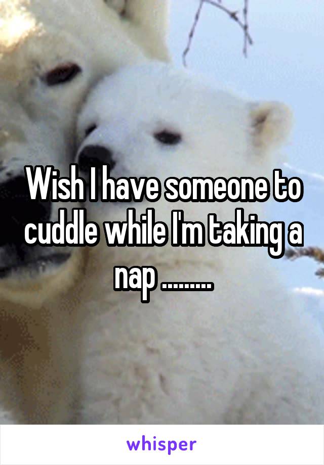 Wish I have someone to cuddle while I'm taking a nap .........