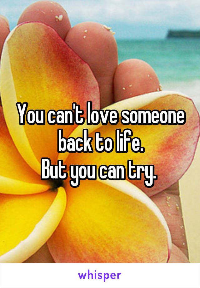 You can't love someone back to life.
But you can try. 