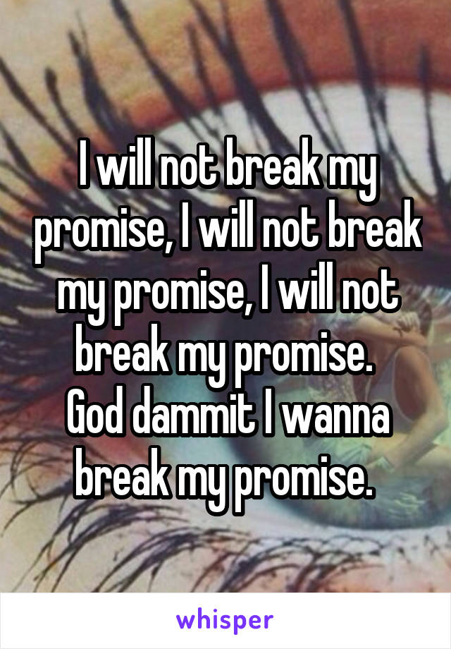 I will not break my promise, I will not break my promise, I will not break my promise. 
God dammit I wanna break my promise. 