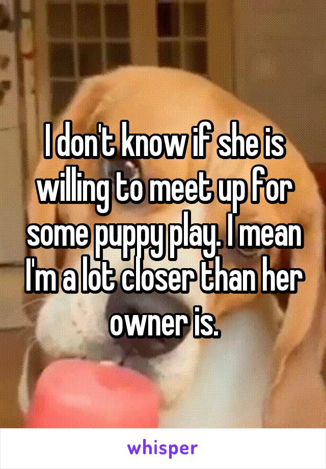 I don't know if she is willing to meet up for some puppy play. I mean I'm a lot closer than her owner is.