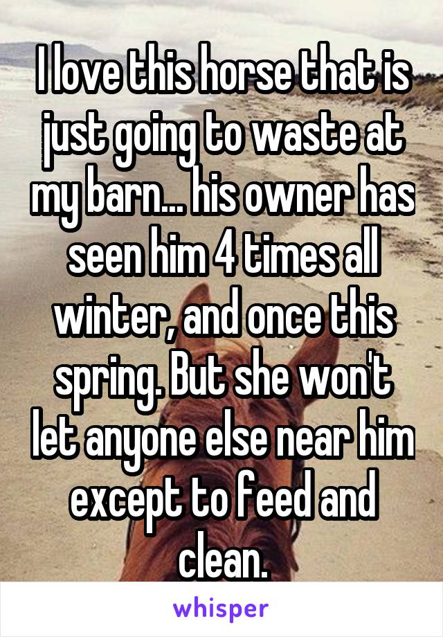 I love this horse that is just going to waste at my barn... his owner has seen him 4 times all winter, and once this spring. But she won't let anyone else near him except to feed and clean.