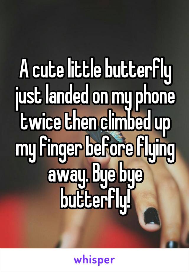 A cute little butterfly just landed on my phone twice then climbed up my finger before flying away. Bye bye butterfly!