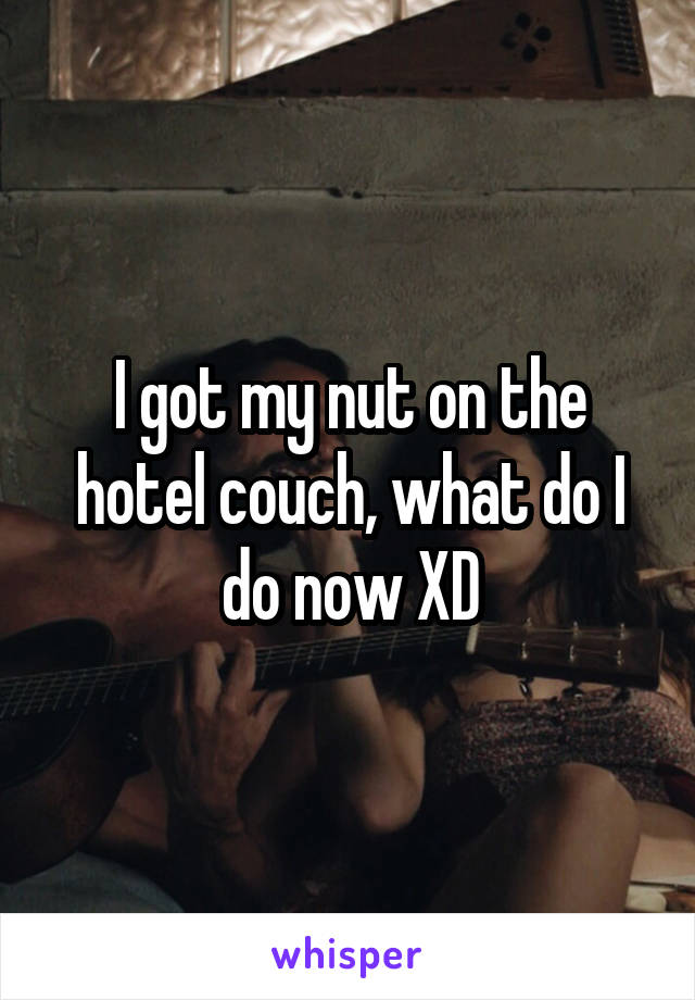 I got my nut on the hotel couch, what do I do now XD