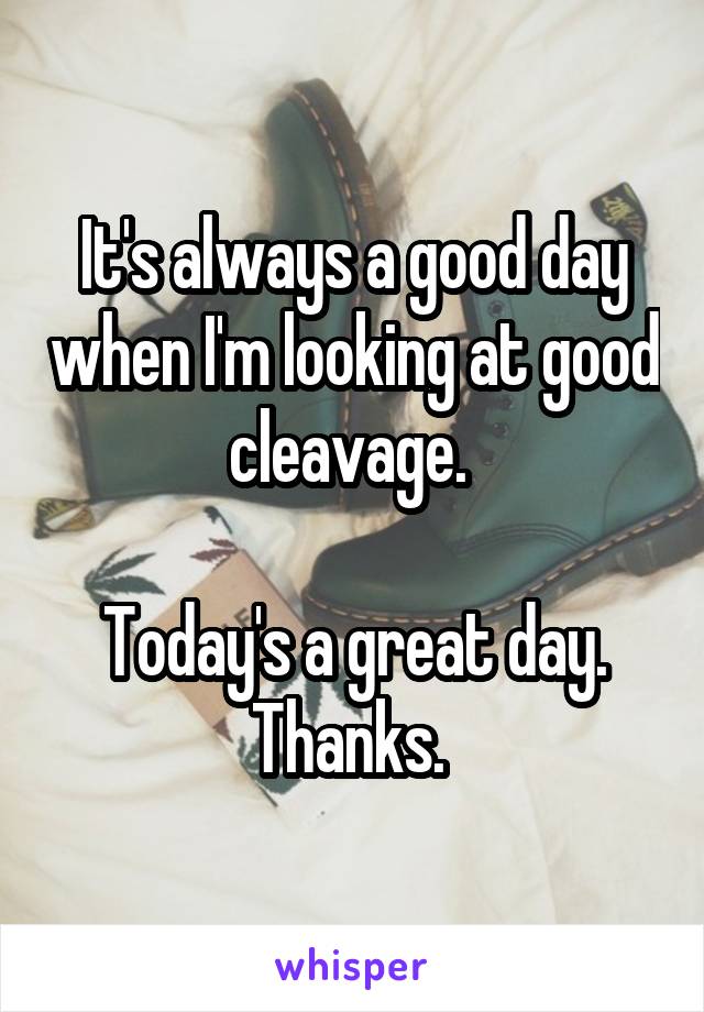 It's always a good day when I'm looking at good cleavage. 

Today's a great day. Thanks. 