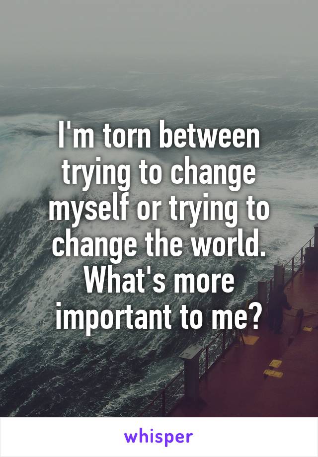 I'm torn between trying to change myself or trying to change the world.
What's more important to me?