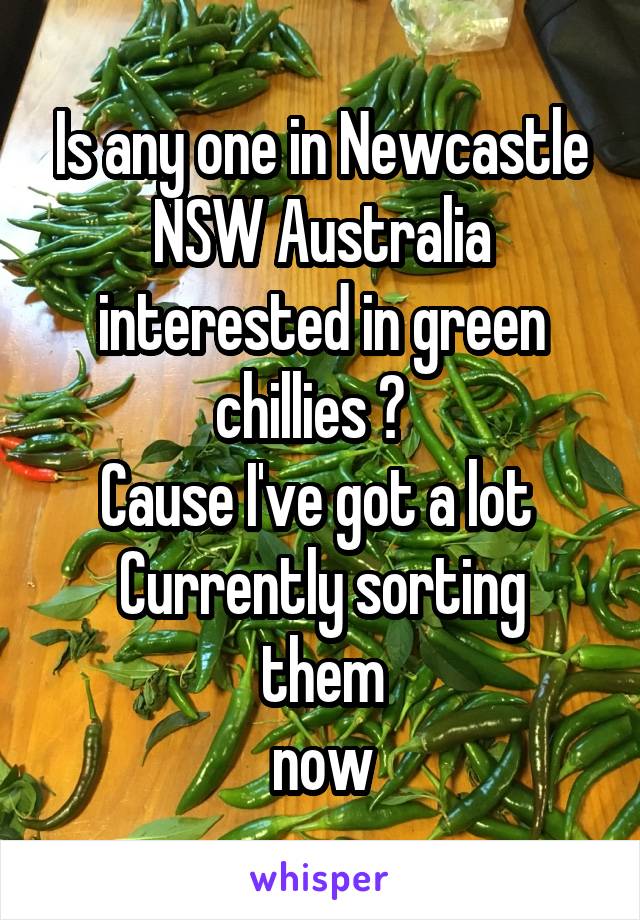 Is any one in Newcastle NSW Australia interested in green chillies ?  
Cause I've got a lot 
Currently sorting them
now