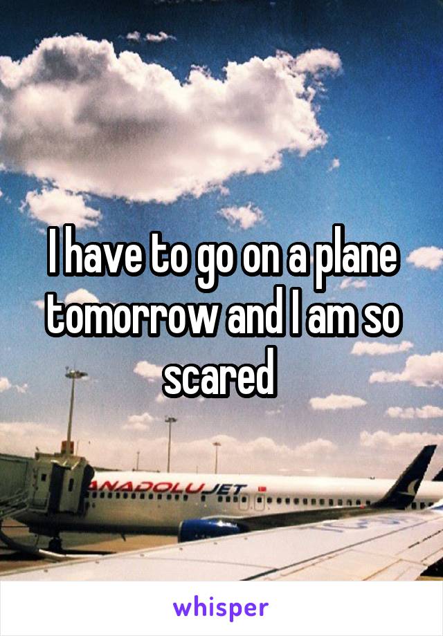 I have to go on a plane tomorrow and I am so scared 