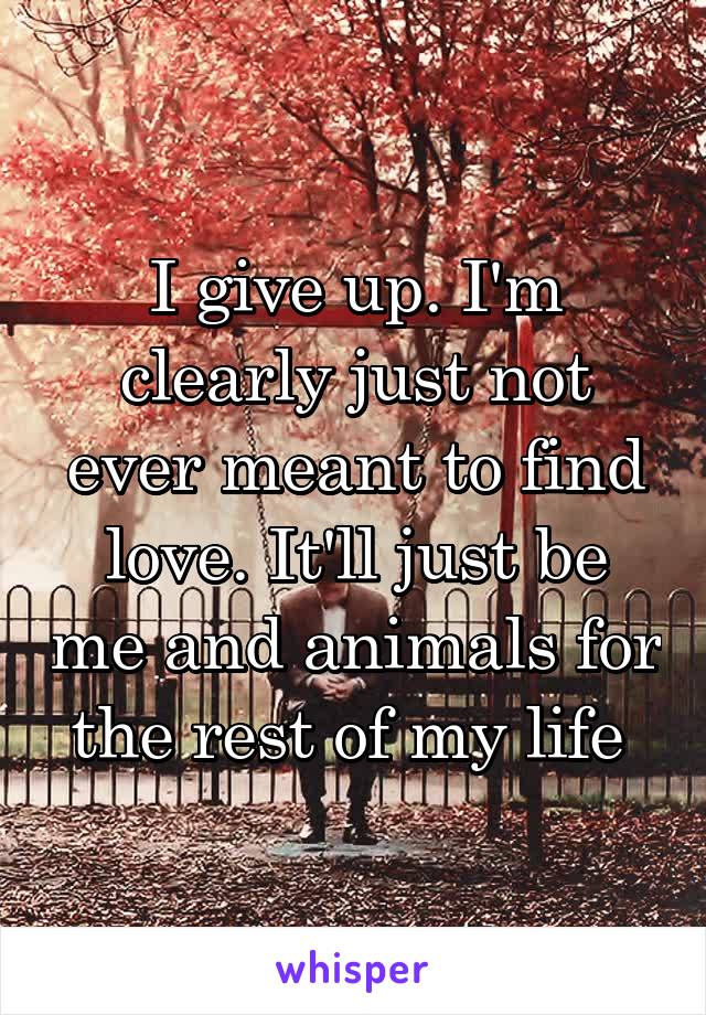 I give up. I'm clearly just not ever meant to find love. It'll just be me and animals for the rest of my life 