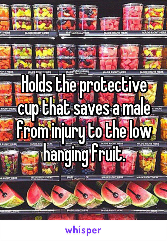 Holds the protective cup that saves a male from injury to the low hanging fruit.