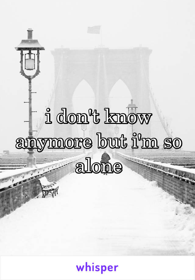 i don't know anymore but i'm so alone