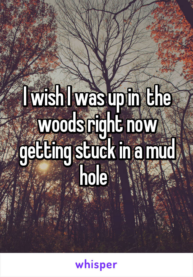   I wish I was up in  the woods right now getting stuck in a mud hole  