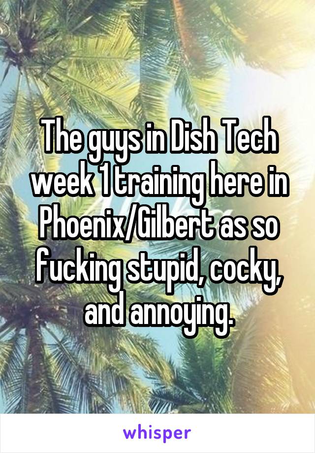 The guys in Dish Tech week 1 training here in Phoenix/Gilbert as so fucking stupid, cocky, and annoying.