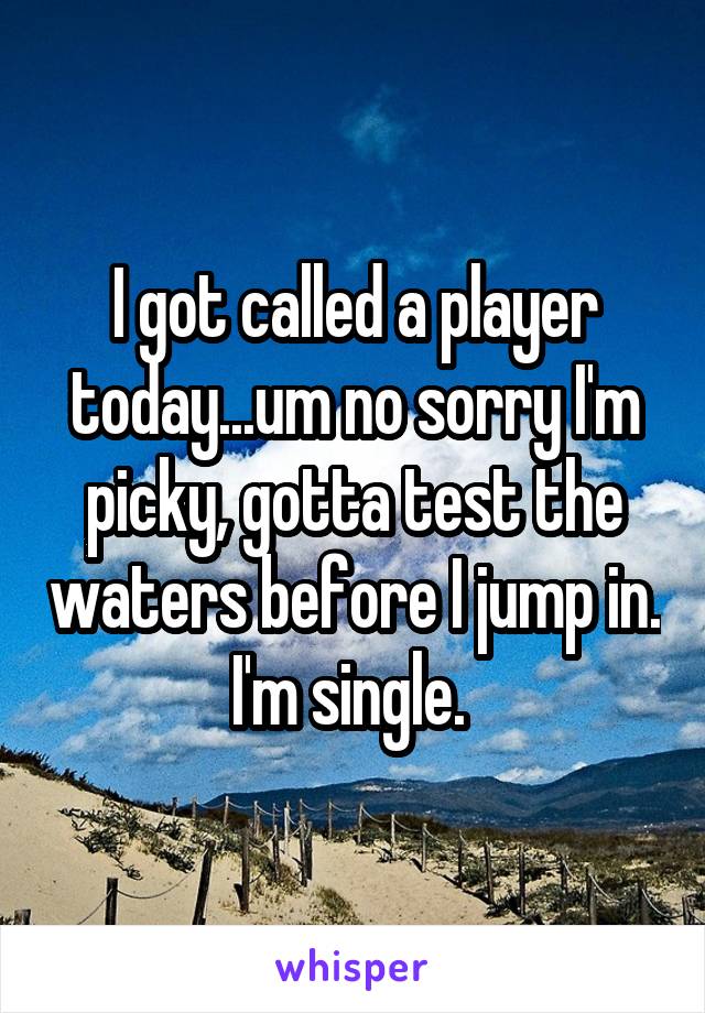 I got called a player today...um no sorry I'm picky, gotta test the waters before I jump in. I'm single. 