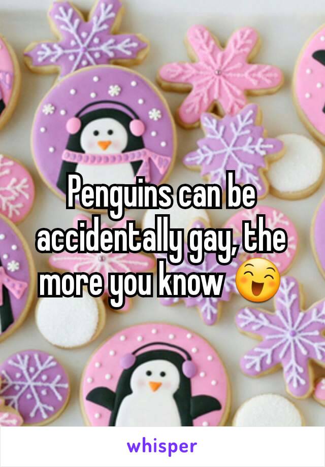 Penguins can be accidentally gay, the more you know 😄