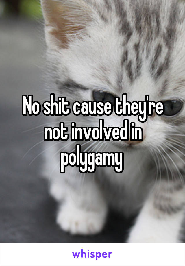 No shit cause they're not involved in polygamy 