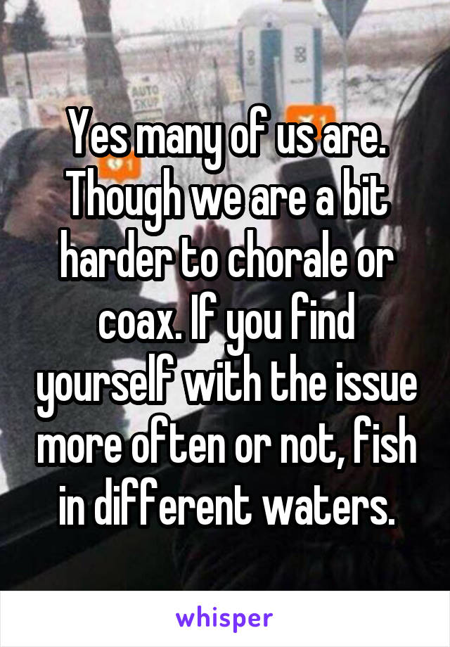 Yes many of us are. Though we are a bit harder to chorale or coax. If you find yourself with the issue more often or not, fish in different waters.