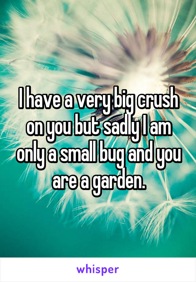 I have a very big crush on you but sadly I am only a small bug and you are a garden.