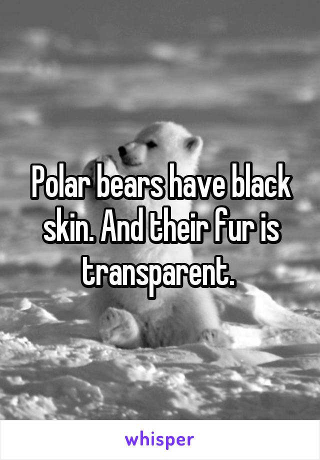 Polar bears have black skin. And their fur is transparent. 