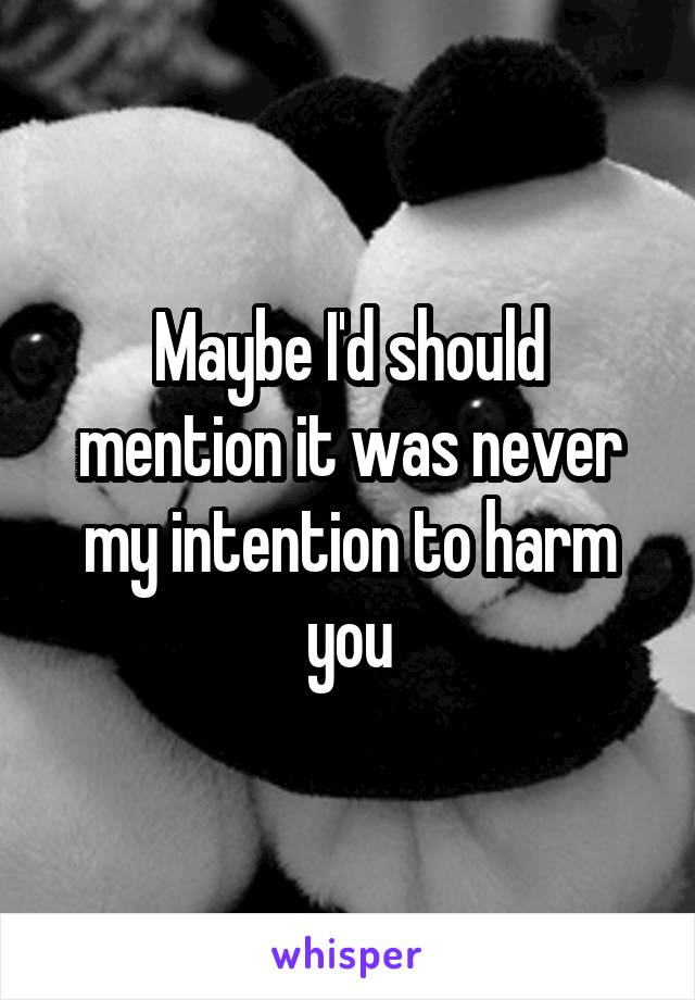 Maybe I'd should mention it was never my intention to harm you