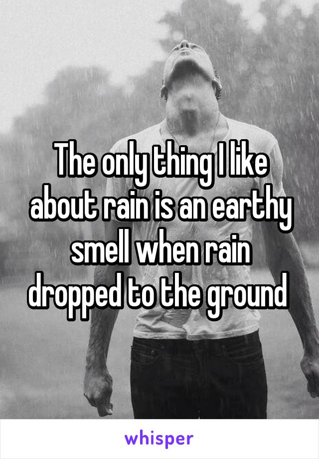 The only thing I like about rain is an earthy smell when rain dropped to the ground 