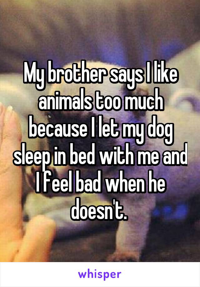 My brother says I like animals too much because I let my dog sleep in bed with me and I feel bad when he doesn't. 