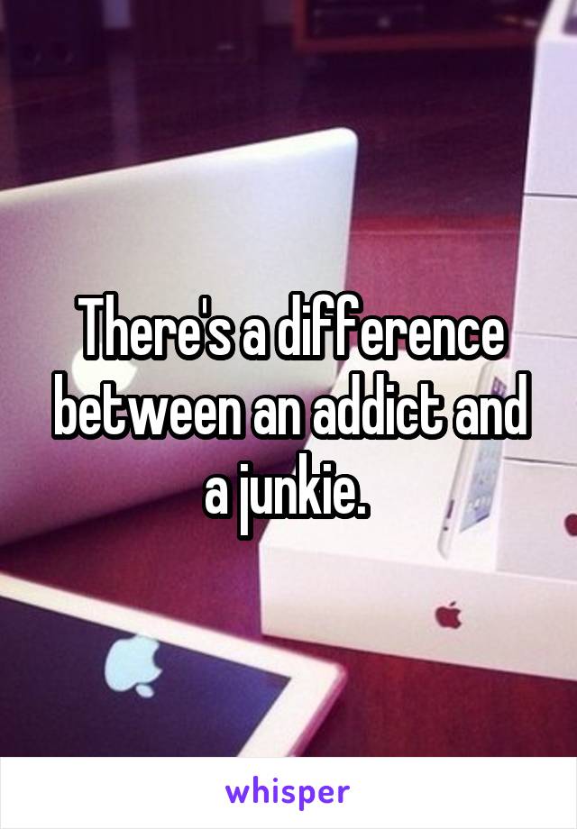 There's a difference between an addict and a junkie. 