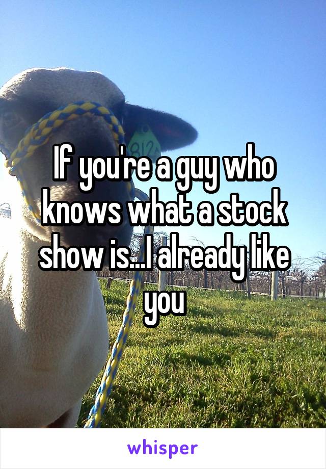 If you're a guy who knows what a stock show is...I already like you