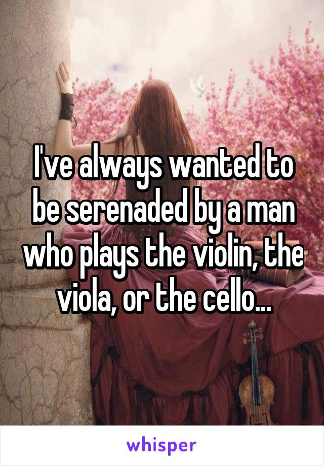 I've always wanted to be serenaded by a man who plays the violin, the viola, or the cello...