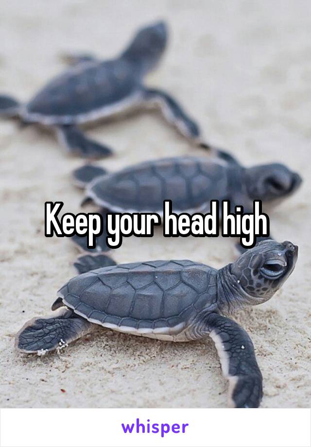 Keep your head high