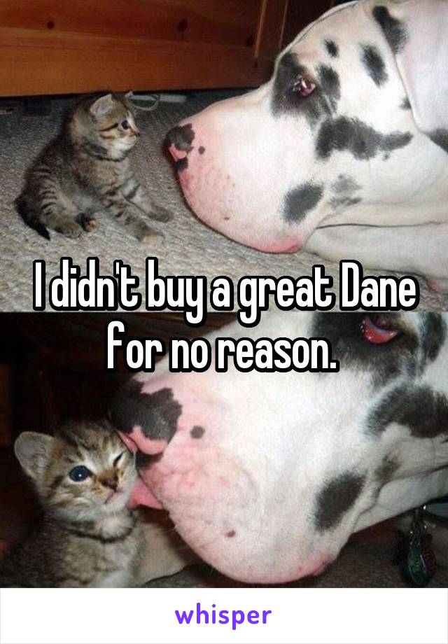 I didn't buy a great Dane for no reason. 