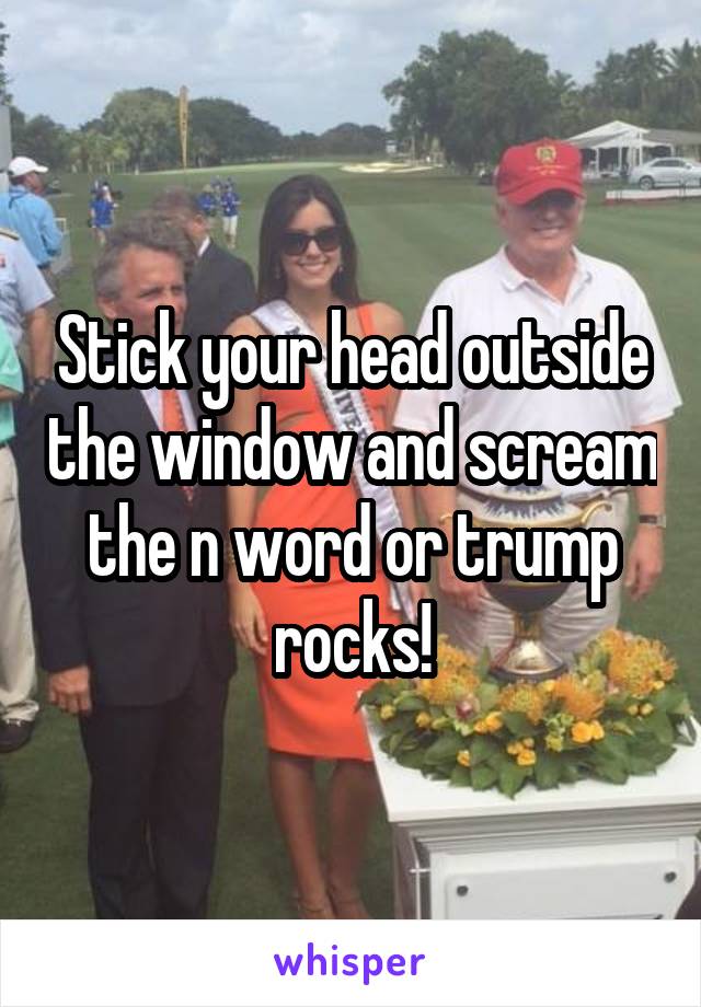 Stick your head outside the window and scream the n word or trump rocks!