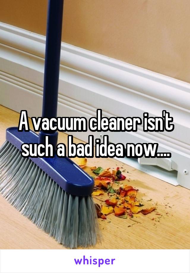 A vacuum cleaner isn't such a bad idea now....