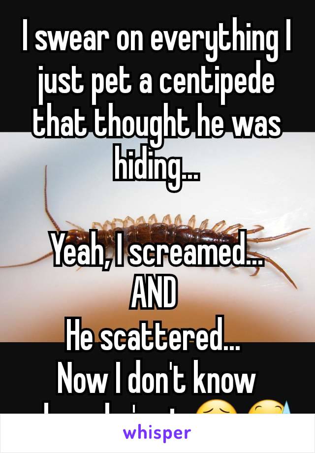 I swear on everything I just pet a centipede that thought he was hiding...

Yeah, I screamed...
AND 
He scattered... 
Now I don't know where he's at 😣😰