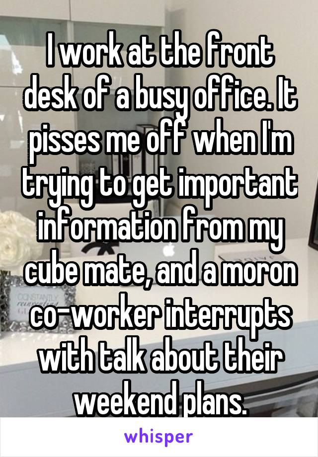 I work at the front desk of a busy office. It pisses me off when I'm trying to get important information from my cube mate, and a moron co-worker interrupts with talk about their weekend plans.