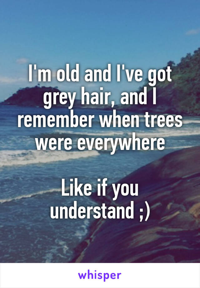 I'm old and I've got grey hair, and I remember when trees were everywhere

Like if you understand ;)