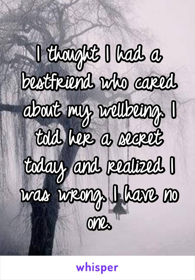 I thought I had a bestfriend who cared about my wellbeing. I told her a secret today and realized I was wrong. I have no one.