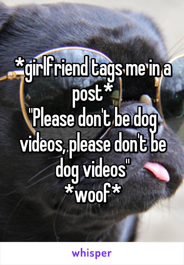 *girlfriend tags me in a post*
"Please don't be dog videos, please don't be dog videos"
*woof*