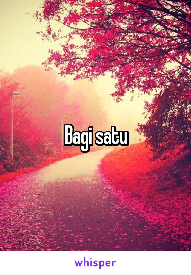 Bagi satu