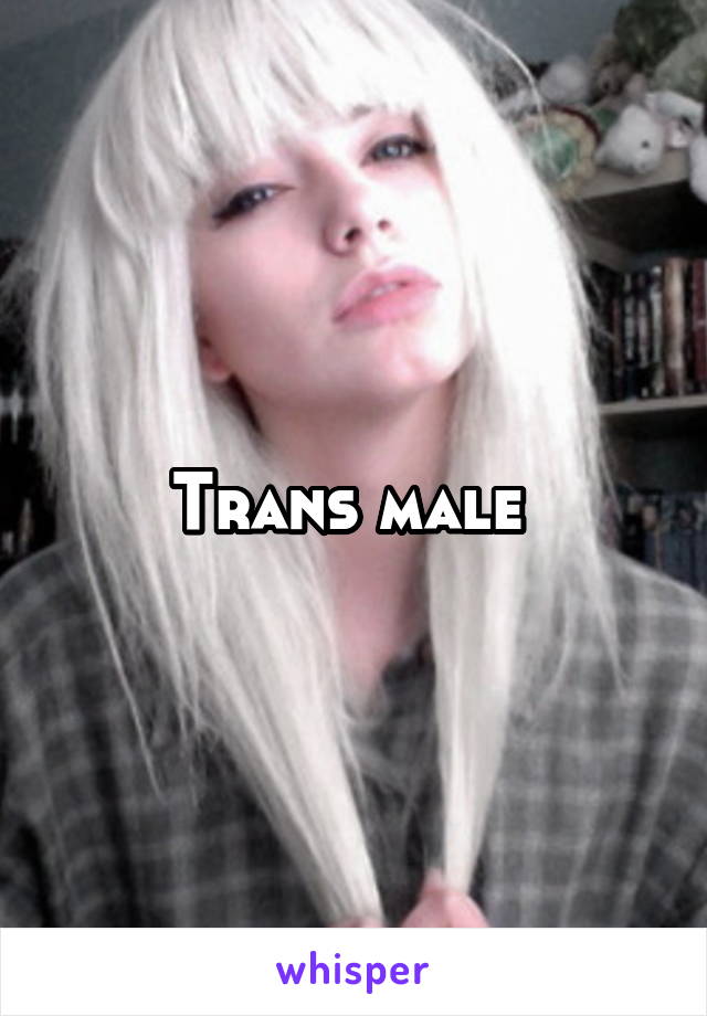 Trans male 