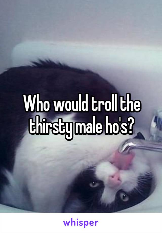 Who would troll the thirsty male ho's?