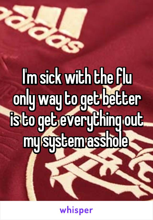 I'm sick with the flu only way to get better is to get everything out my system asshole 