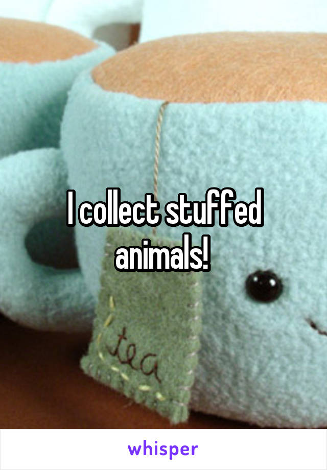 I collect stuffed animals! 