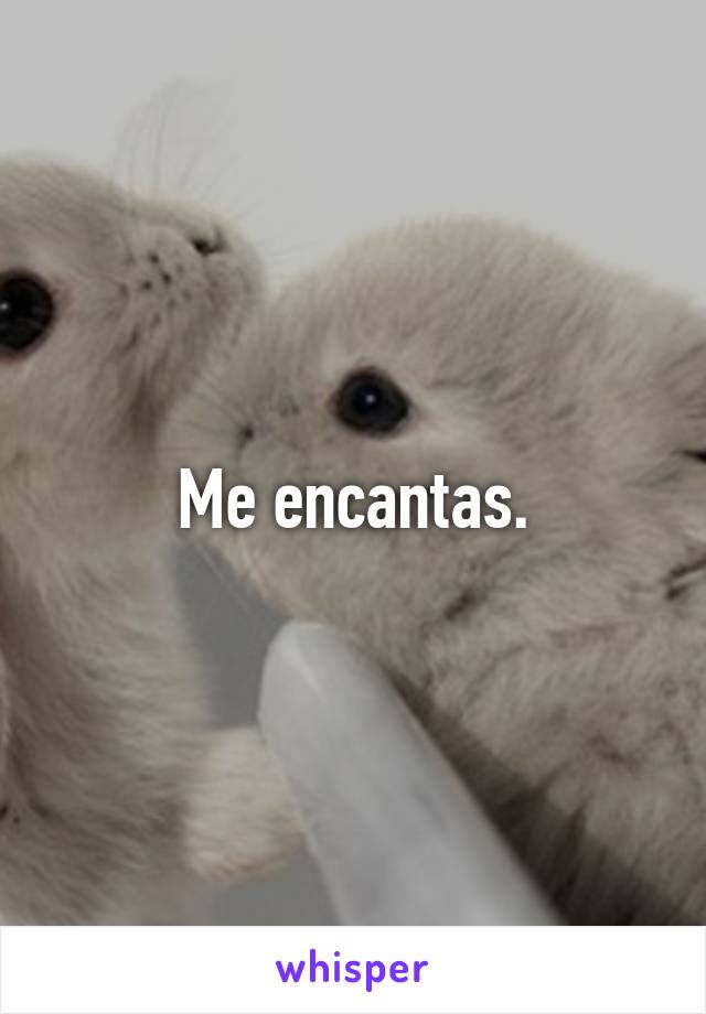 Me encantas.