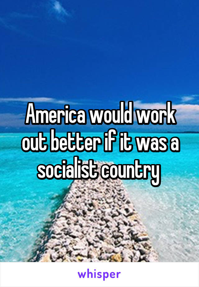 America would work out better if it was a socialist country 