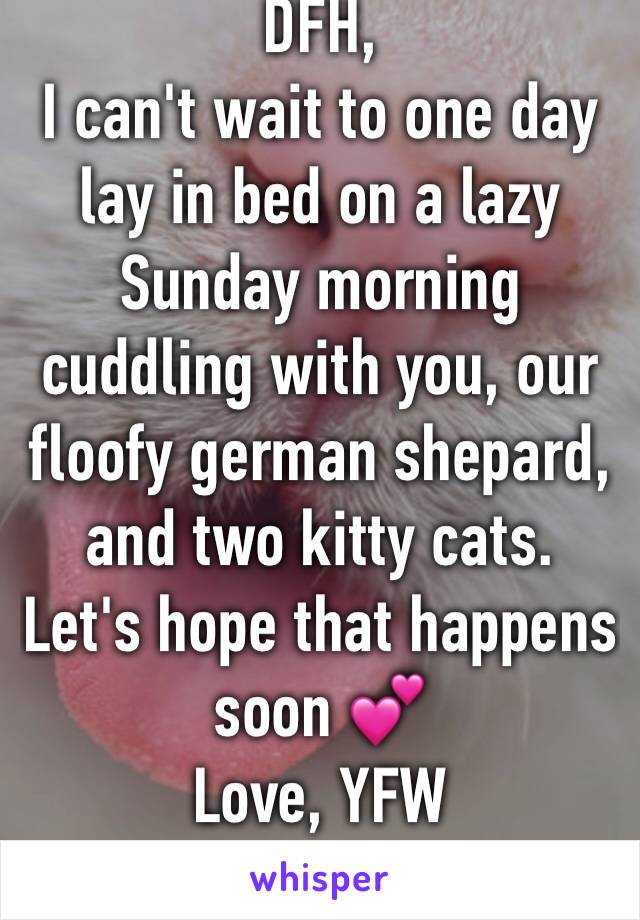 DFH,
I can't wait to one day lay in bed on a lazy Sunday morning cuddling with you, our floofy german shepard, and two kitty cats. 
Let's hope that happens soon 💕
Love, YFW