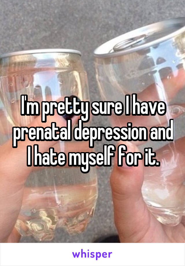 I'm pretty sure I have prenatal depression and I hate myself for it.
