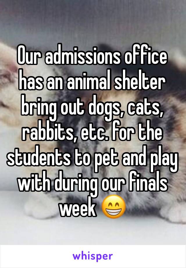 Our admissions office has an animal shelter bring out dogs, cats, rabbits, etc. for the students to pet and play with during our finals week 😁