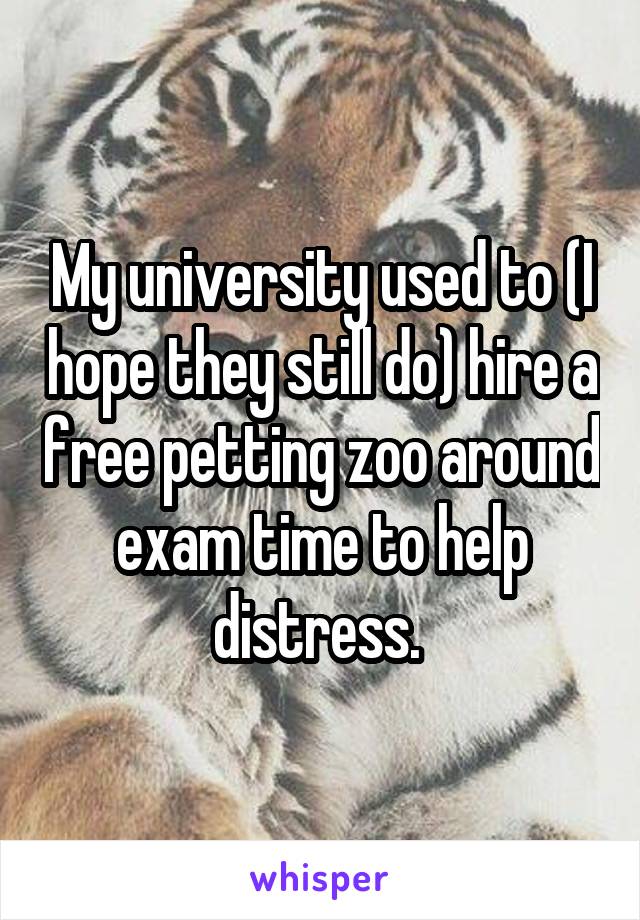 My university used to (I hope they still do) hire a free petting zoo around exam time to help distress. 